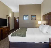Comfort Inn & Suites Edgewood hotel detail image 7