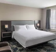 Homewood Suites by Hilton Boston Logan Airport Chelsea hotel detail image 5
