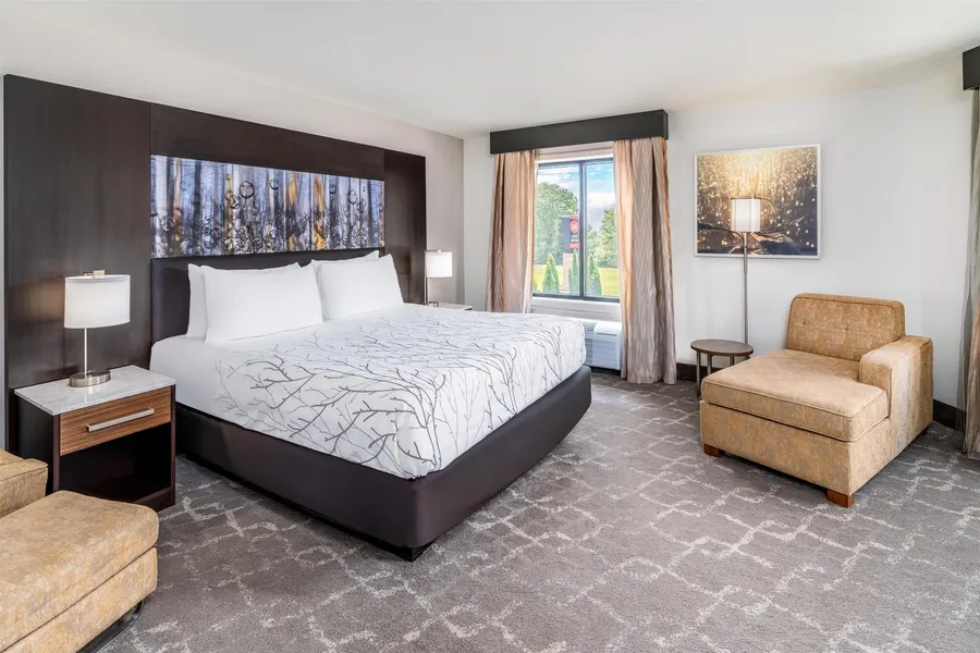 Aiden by Best Western Warm Springs Hotel and Event Center hotel detail image 6