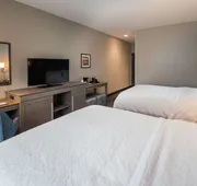 Hampton Inn & Suites at Wisconsin Dells Lake Delton hotel detail image 7