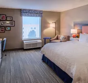 Hampton Inn & Suites Wixom hotel detail image 7