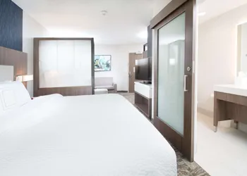 SpringHill Suites by Marriott Fayetteville Fort Bragg hotel thumbnail 6
