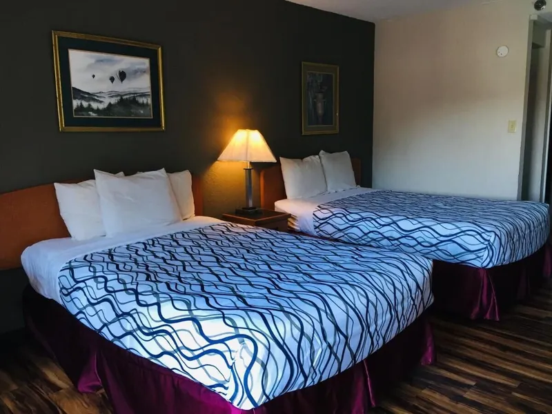 Bear Mount Inn & Suites hotel detail image 6
