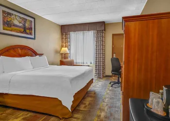 Wyndham Garden York hotel thumbnail 6