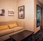 Holiday Inn & Suites - Joliet Southwest by IHG hotel detail image 4