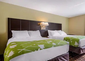 Econo Lodge Boaz hotel thumbnail 8