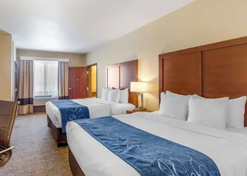 Comfort Suites Near Denver Downtown hotel thumbnail 7