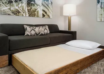 SpringHill Suites by Marriott Belmont Redwood Shores hotel thumbnail 4