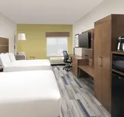 Holiday Inn Express & Suites San Antonio North - Windcrest by IHG hotel detail image 5