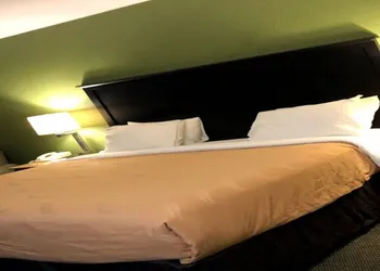 Econo Lodge Wesley Chapel I-75 hotel thumbnail 7