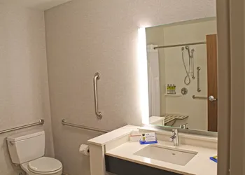 Holiday Inn Express & Suites St. Louis South - I-55 by IHG hotel thumbnail 7
