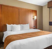 Comfort Suites University hotel detail image 7