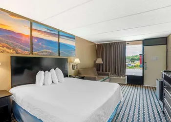 Quality Inn near Speedway hotel thumbnail 5