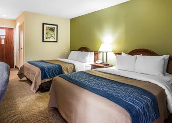 Quality Inn Darien - North Brunswick hotel thumbnail 7
