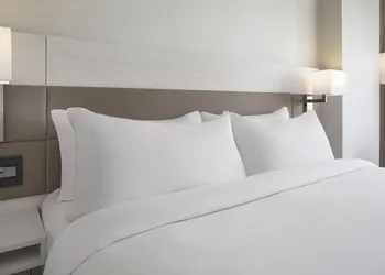 AC Hotel by Marriott Gainesville Downtown hotel thumbnail 7