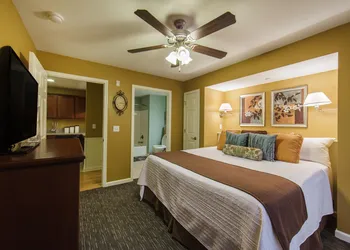 Holiday Inn Club Vacations Holiday Hills Resort Branson by IHG hotel thumbnail 3