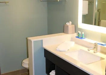 Holiday Inn Express & Suites Hendersonville SE - Flat Rock by IHG hotel thumbnail 8