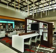 Embassy Suites by Hilton Noblesville Indianapolis Convention Center hotel detail image 5