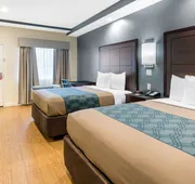 Econo Lodge Inn & Suites Houston Willowbrook hotel detail image 7