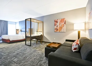 SpringHill Suites by Marriott Cincinnati Blue Ash hotel thumbnail 6