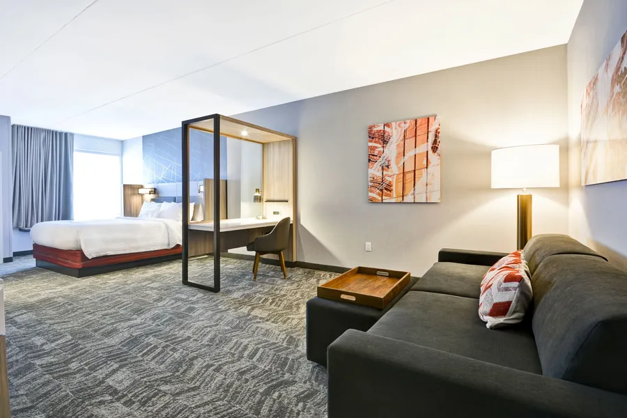 SpringHill Suites by Marriott Cincinnati Blue Ash hotel detail image 6