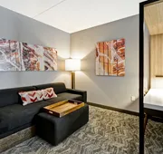 SpringHill Suites by Marriott Cincinnati Blue Ash hotel detail image 7