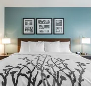 Sleep Inn & Suites Ankeny - Des Moines hotel detail image 4