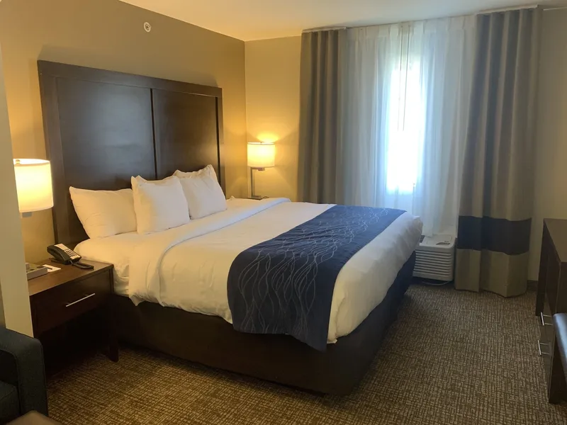 Comfort Inn & Suites Atoka hotel detail image 6