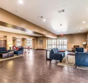 Comfort Suites Grand Prairie - Arlington North hotel detail image 3