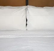 Four Points By Sheraton Dallas Fort Worth Airport North hotel detail image 4