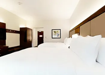 Holiday Inn Express & Suites Chalmette - New Orleans S by IHG hotel thumbnail 6