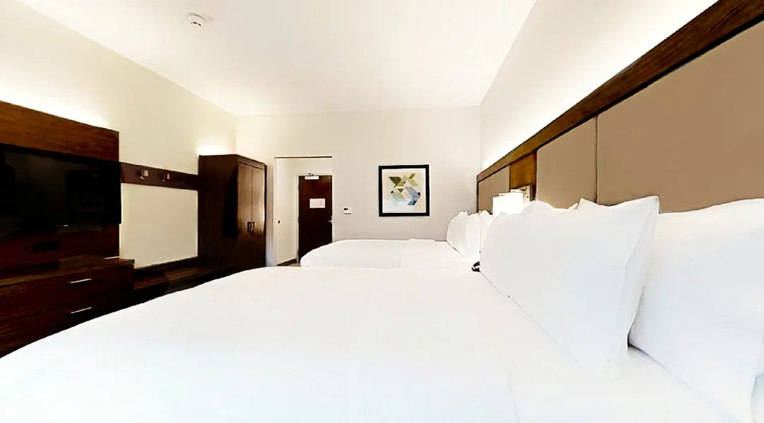 Holiday Inn Express & Suites Chalmette - New Orleans S by IHG hotel detail image 6