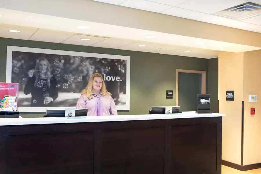Hampton Inn Big Rapids hotel detail image 2