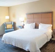 Hampton Inn Big Rapids hotel detail image 7