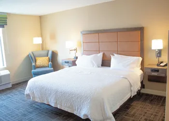 Hampton Inn Big Rapids hotel thumbnail 7