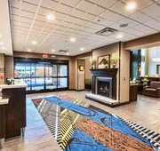 Hampton Inn & Suites Duluth North/Mall Area hotel detail image 3