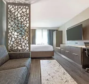Best Western Plus Temecula Wine Country Hotel &Suites hotel detail image 5