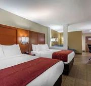 Comfort Suites Bowling Green Southeast hotel detail image 7