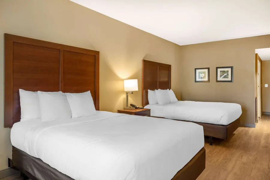 Comfort Inn & Suites at CrossPlex Village hotel detail image 6