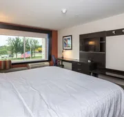 Holiday Inn Express & Suites Allen Park by IHG hotel detail image 4