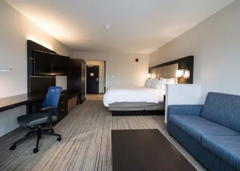 Holiday Inn Express & Suites Allen Park by IHG hotel thumbnail 8