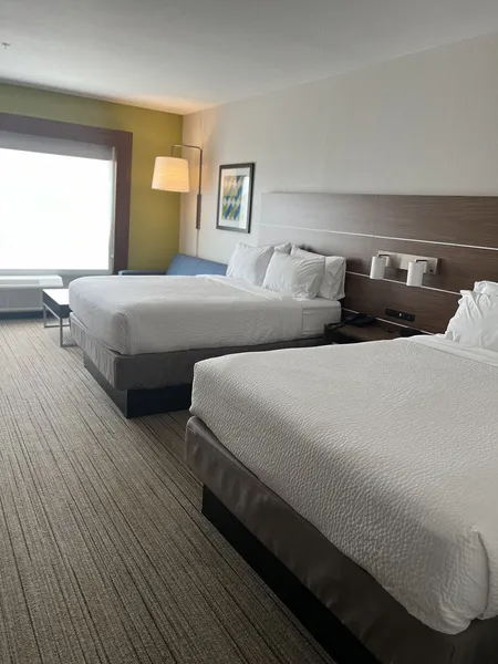 Holiday Inn Express & Suites Mobile - University Area by IHG hotel detail image 6