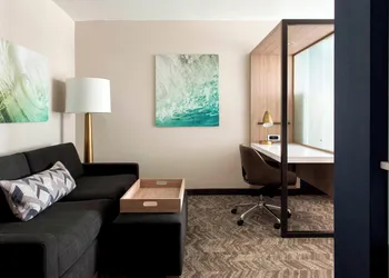 SpringHill Suites by Marriott Tampa Suncoast Parkway hotel thumbnail 5