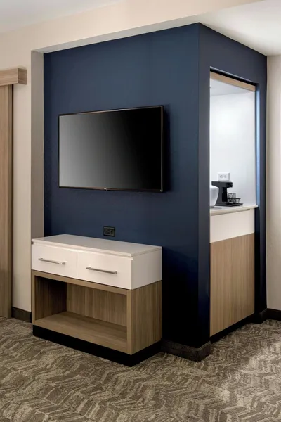 SpringHill Suites by Marriott Tampa Suncoast Parkway hotel detail image 6