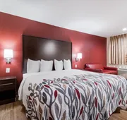 Red Roof Inn Houston – Spring North hotel detail image 5