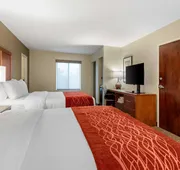 Comfort Inn White House hotel detail image 7
