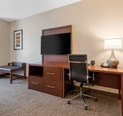 Comfort Suites Denver International Airport hotel detail image 7