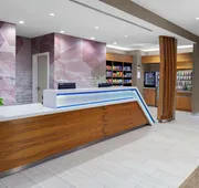 SpringHill Suites by Marriott Denver Tech Center hotel detail image 4