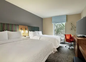 Hampton Inn & Suites Johns Creek hotel thumbnail 7
