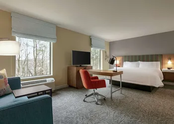 Hampton Inn & Suites Johns Creek hotel thumbnail 8